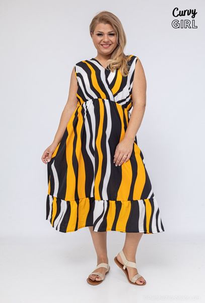 Picture of CURVY GIRL ZEBRA DRESS